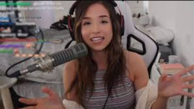 Pokimane Wardrobe Reddit