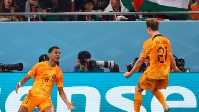 Netherlands vs ecuador match