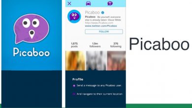 picaboo apk download for free