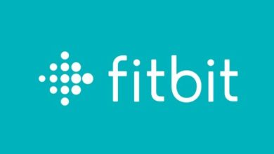 fitbit app not working today