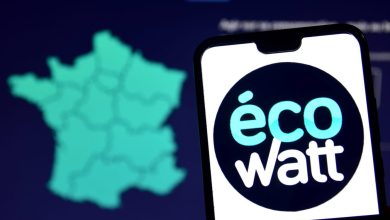 Download Ecowatt app