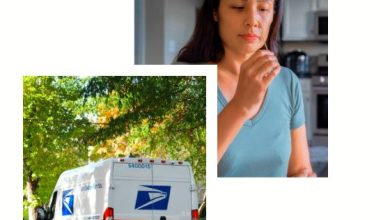 covidtests.gov free covid test kits