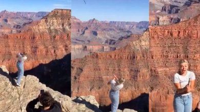 katie sigmond slideshow pics