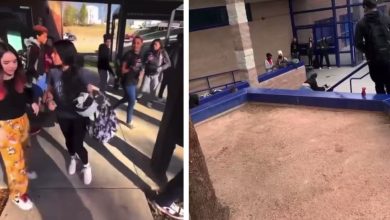 Who is @fegfights22 video on twitter