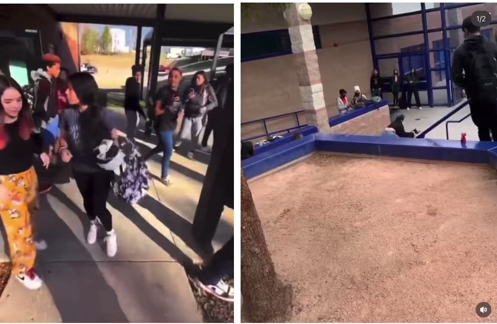 Who is @fegfights22 video on twitter