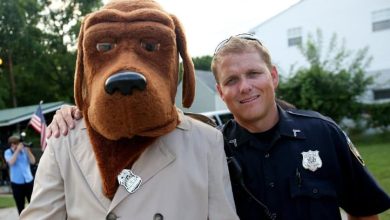 Is McGruff safe kits scam