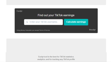 Have you heard about "Exolyt TikTok Money Calculator?" Are you curious about how much money TikTok influencers make? The TikTok Money Calculator from Exolyt can help you calculate an estimation of earnings on any public TikTok account.
