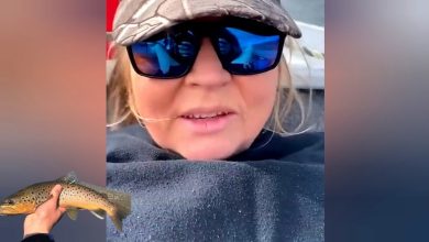 Watch Trout Lady video leaked on twitter and reddit