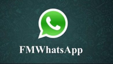 FM WhatsApp