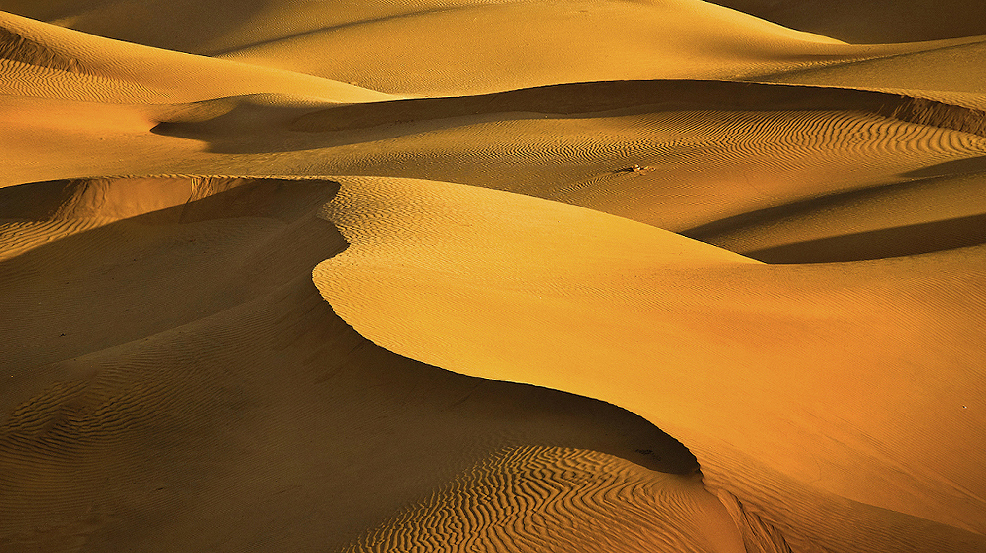 go for desert camping in dubai in 2023 2023