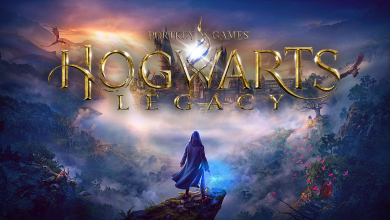 girlfriend reviews hogwarts legacy reddit