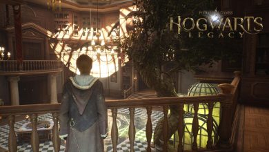 hogwarts legacy room of requirement golden snitch