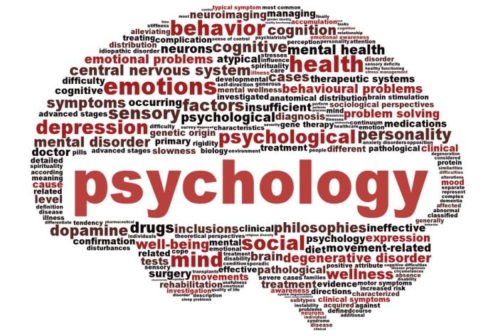 Top Online Accredited Psychology Degree 2023/2024