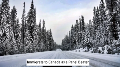 immigrate to canada as a panel beater in 2023