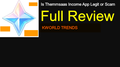 themmsaas income app is it legit