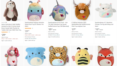 shop valentine squishmallow under $40