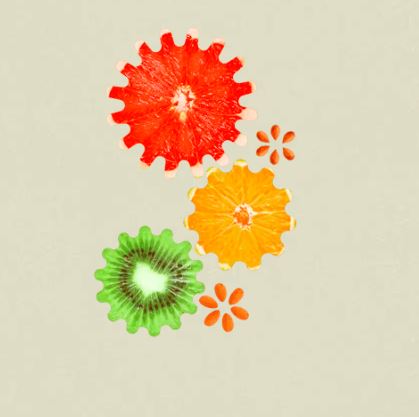 noom app not working issues