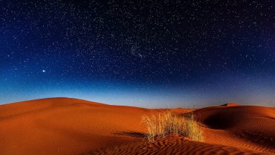 go for desert camping in dubai in 2023 2023