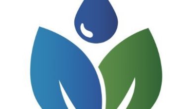 large companies digital carbon neutrality bluelotusparties