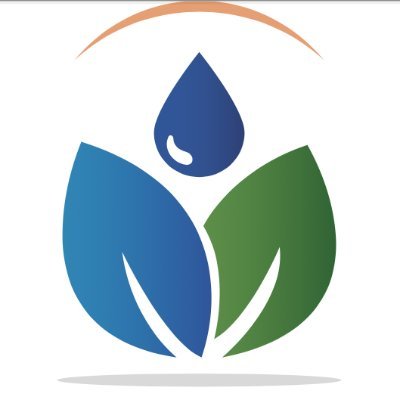 large companies digital carbon neutrality bluelotusparties