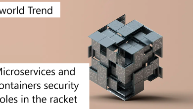Microservices and containers security holes in the racket