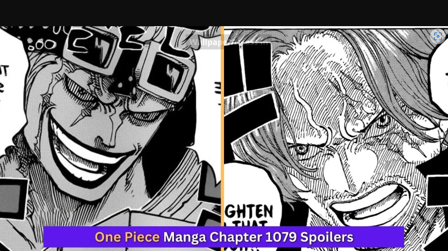 one piece 1079 manga viz wiki freak