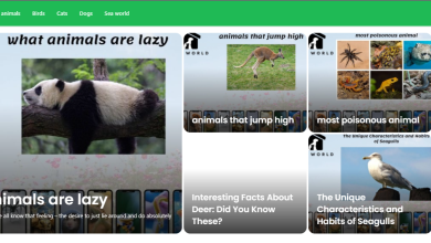 pets.govirall.net site review