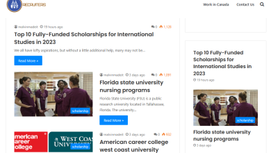 iz.recruiters.com.ng site review