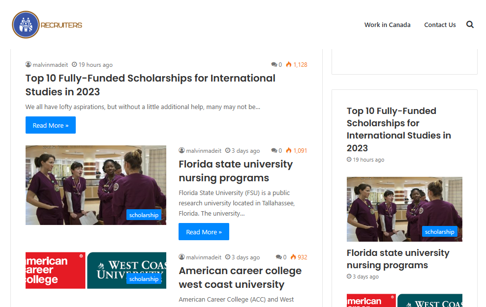 iz.recruiters.com.ng site review