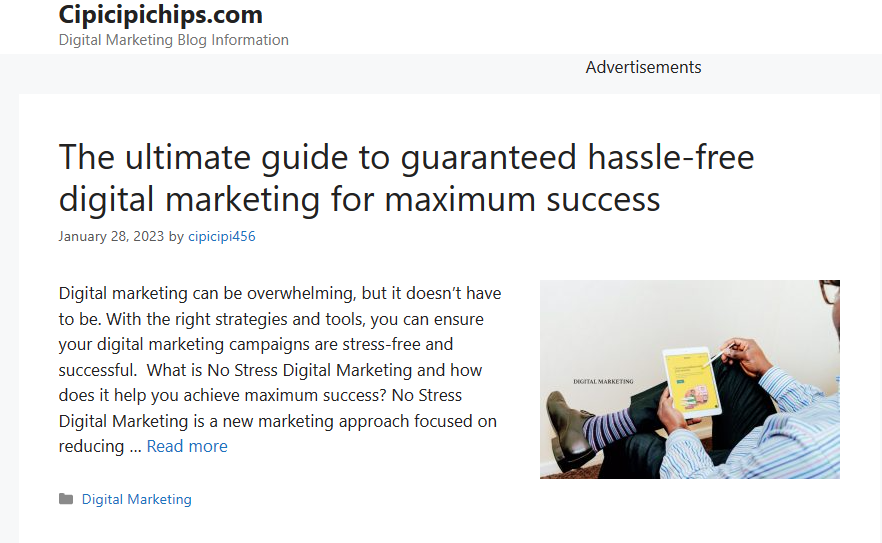 cipicipichips.com digital marketing