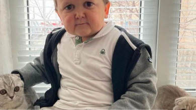 Hasbulla cat video viral on twitter leaked