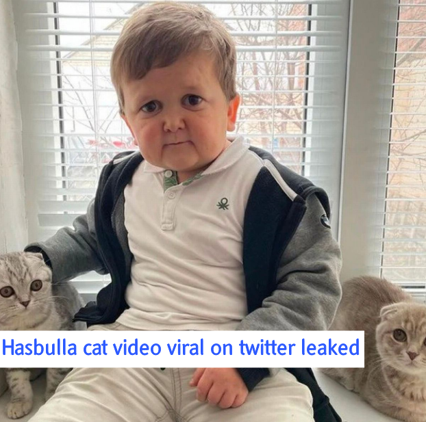 Hasbulla cat video viral on twitter leaked