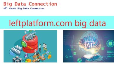 big data leftplatform.com
