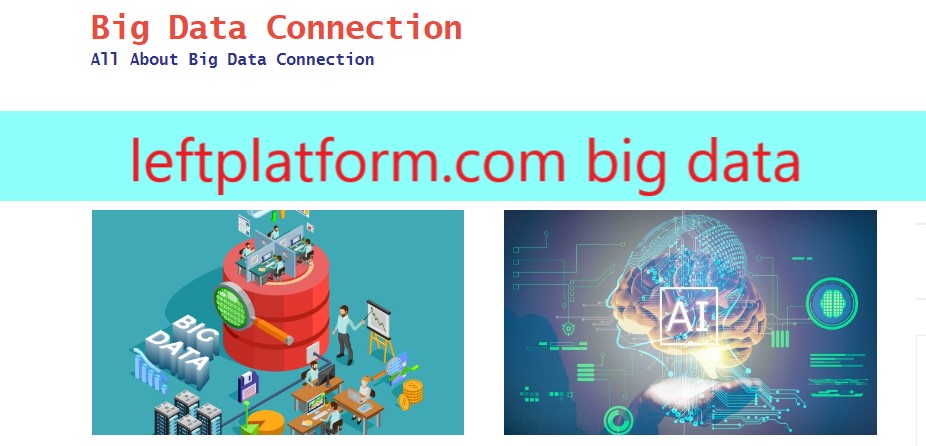 big data leftplatform.com