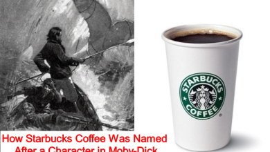 How Starbucks Coffee Was Named After a Character in Moby-Dick
