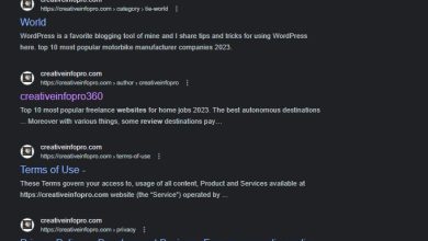 creativeinfopro.com site review