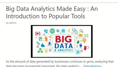 blog.sikidang.com review