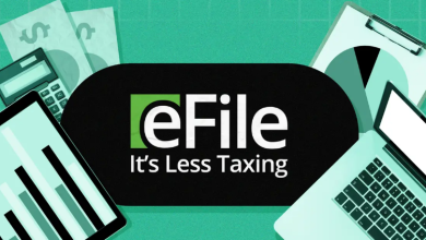 e.file-tax.net legit or scam ,e.file-tax.net review