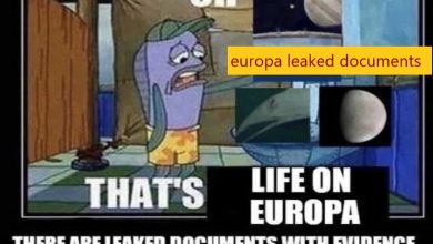 europa leaked documents