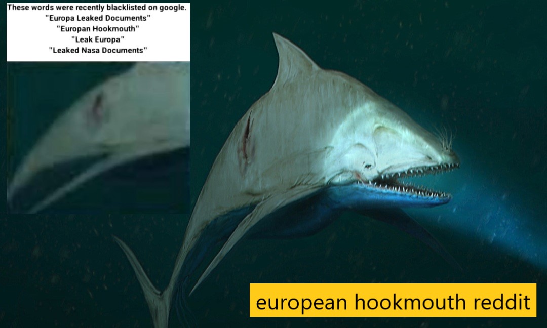 european hookmouth viral in reddit kworld trend