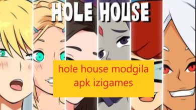 hole house modgila apk izigames