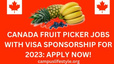 how to easily get canada fruit picker job in 2024