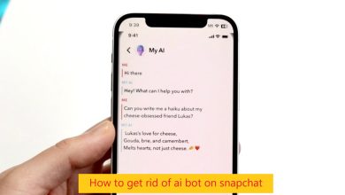 how to get rid of ai bot on snapchat