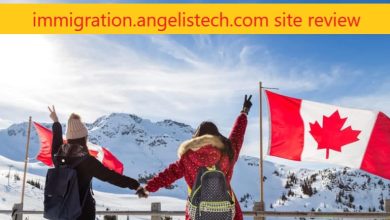immigration.angelistech.com site review