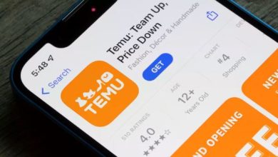 is temu site nintendo switch legit or scam