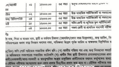 jobmarketbd.xyz site review