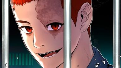 juvenile offender chapter 1