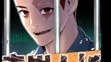 juvenile offender chapter 1 review