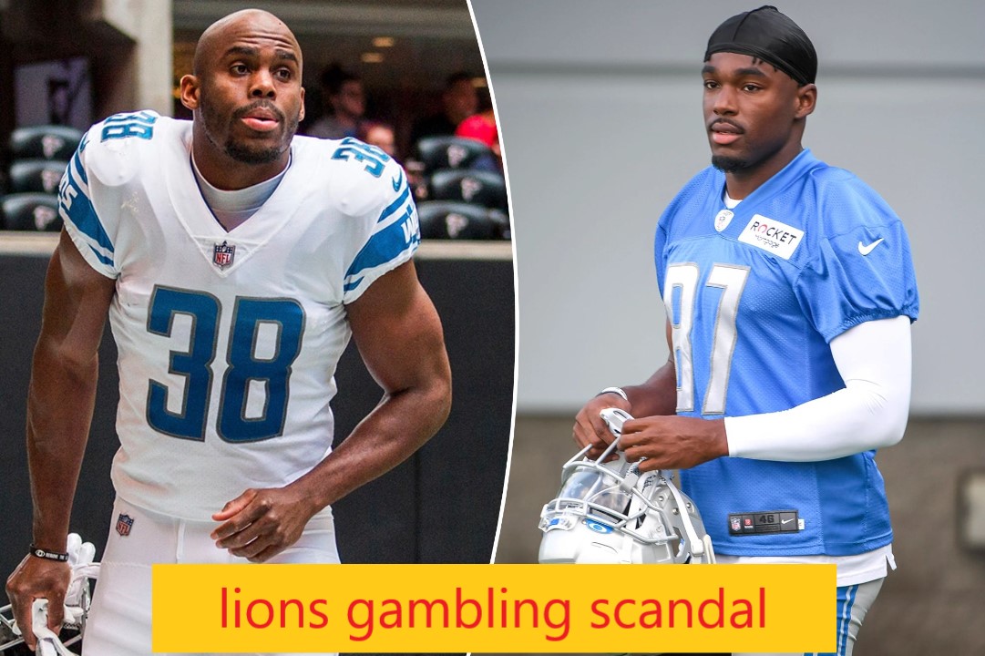 lions gambling scandal