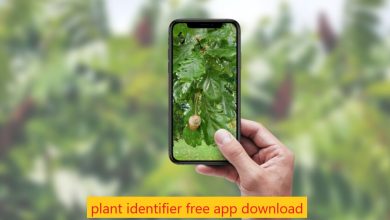 plant identifier free app download